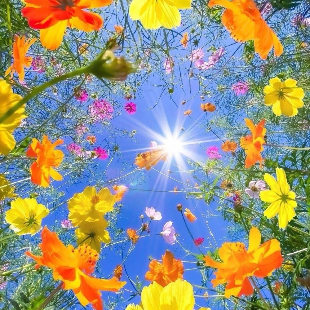 Spring is in the air…